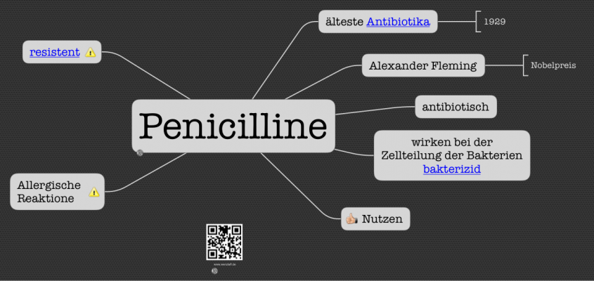 Penicilline – Das Kleinhirn