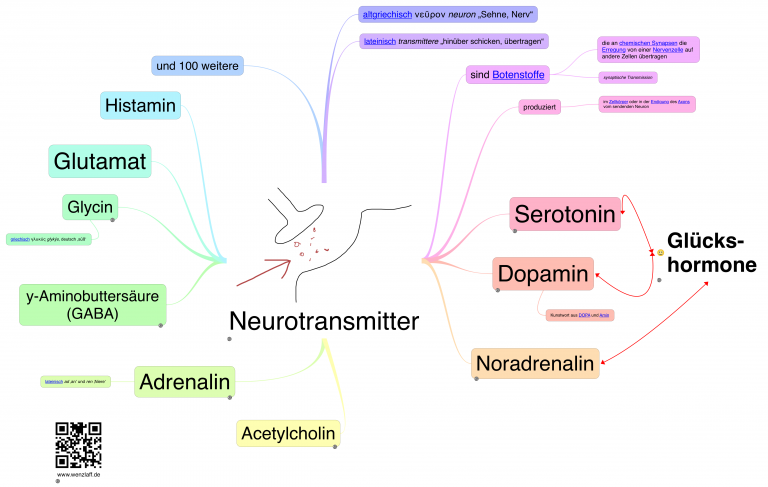 Wo Wird Dopamin Produziert Neurotransmitter – Das Kleinhirn