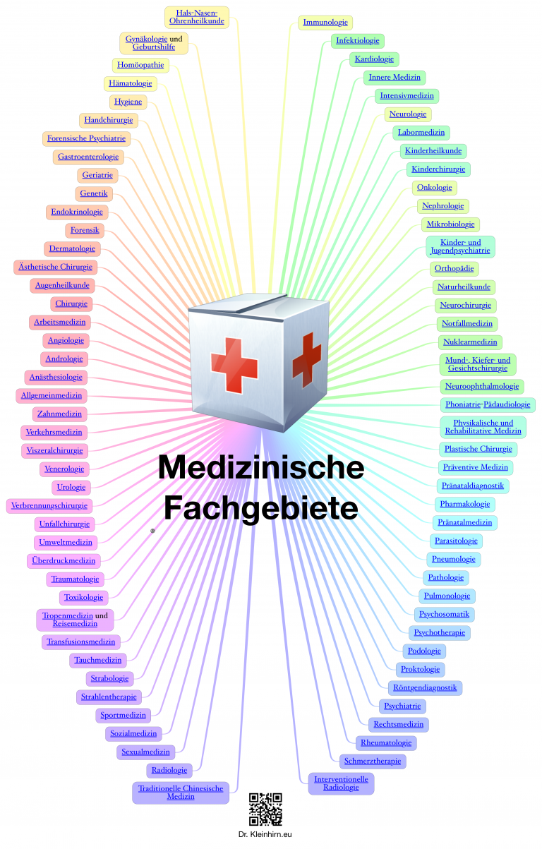 Med-Fachgebiete – Das Kleinhirn