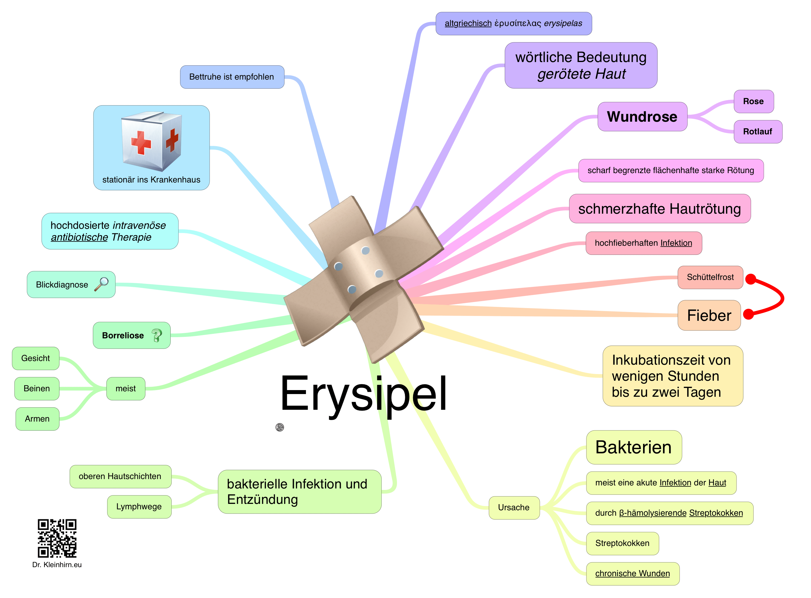 erysipel