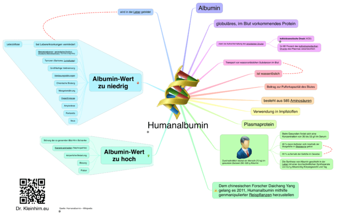 Humanalbumin Das Kleinhirn