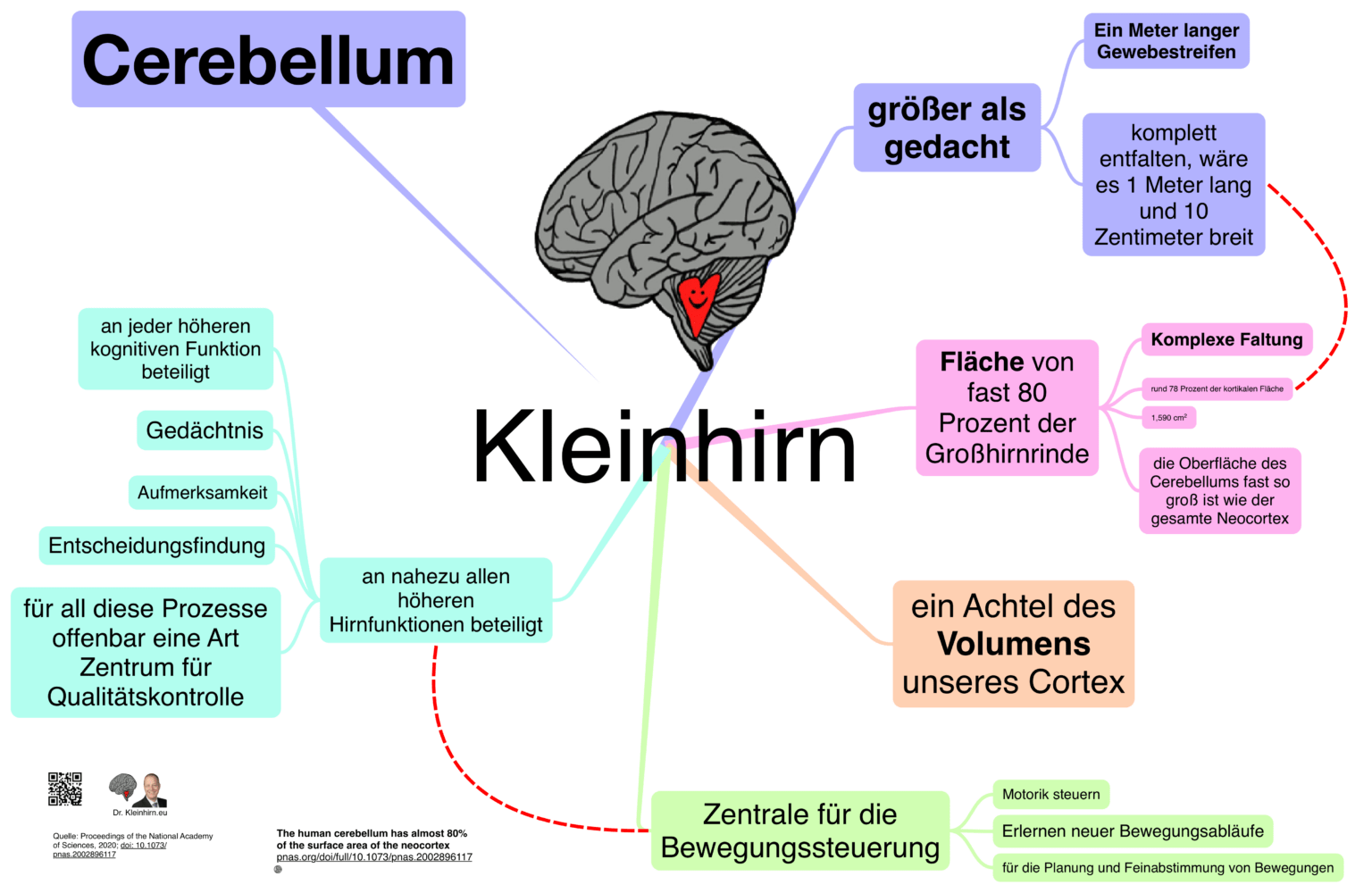 das-kleinhirn-und-seine-coolen-mindmaps