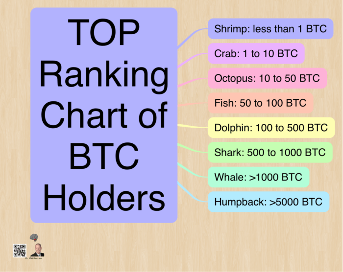 TOP Ranking Chart of BTC Holders Das Kleinhirn