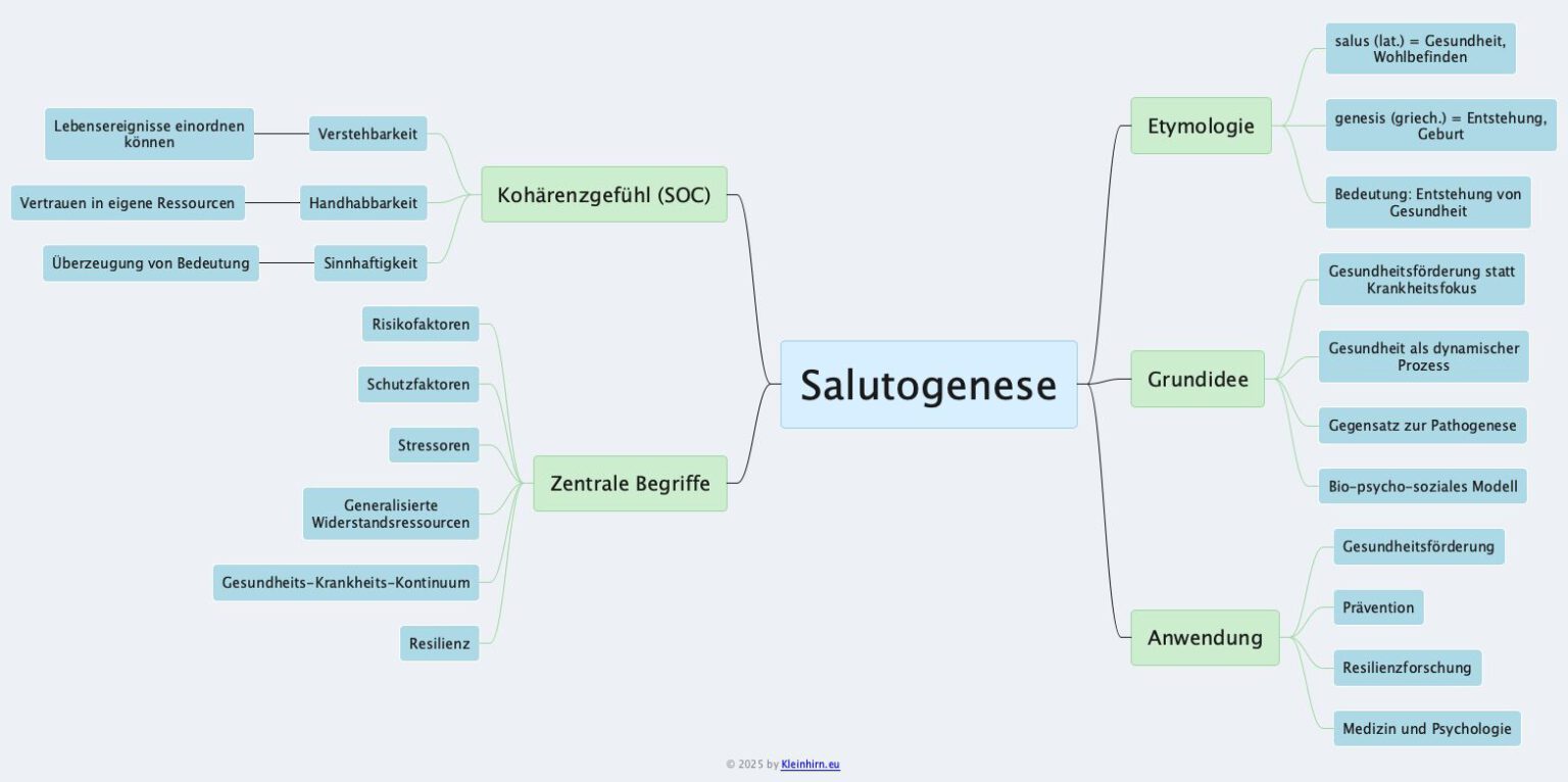 salutogenese-das-kleinhirn
