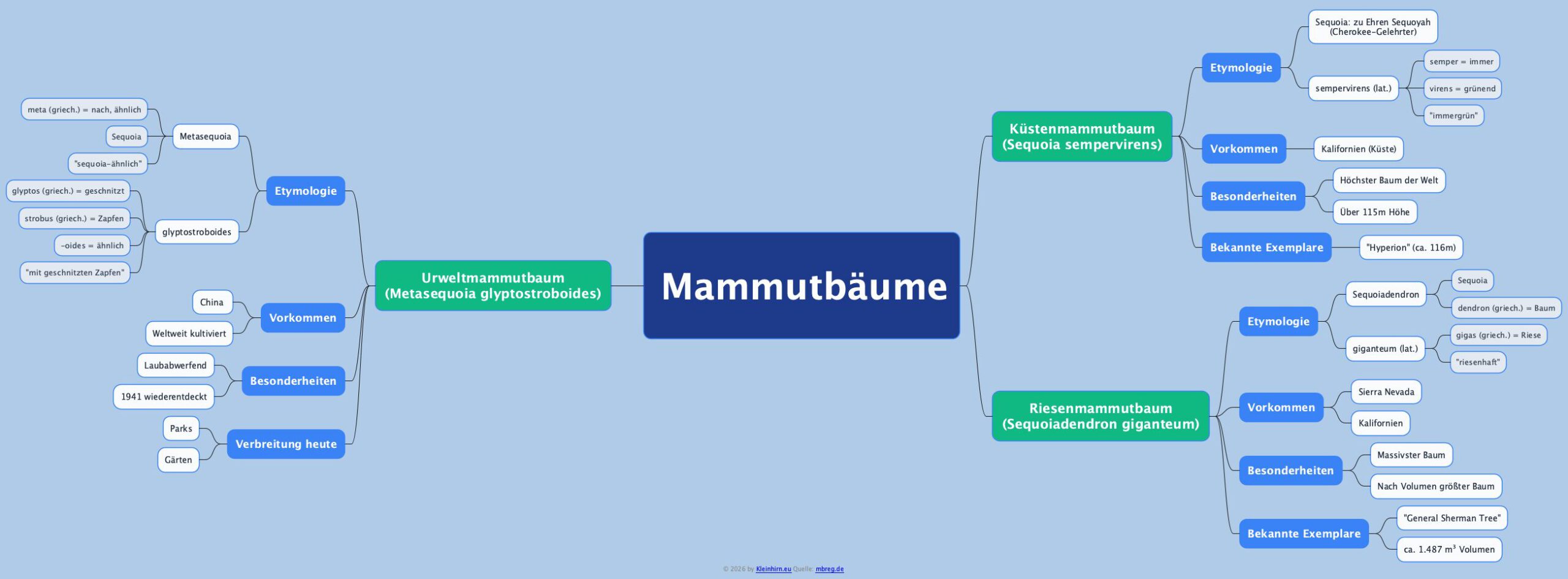 mammutbaum